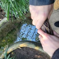 Casa de Celine & Mickaël