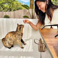 Historic Brooklyn townhouse apartment with private backyard and plentiful train access