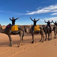 3 1/2 au coeur du vieux St-Romuald entièrement rénové