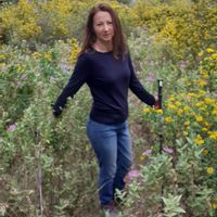 Lovely apartment, a 20-minute walk from the center of Nice and the port