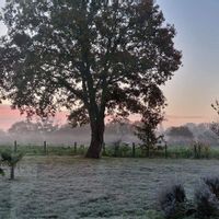 La maison d'Émilie et Jean
