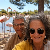 Les flamands voyageurs ness et cloclos hus