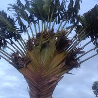 huis van Diane et Jean-Christophe