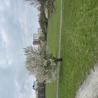 kates hus