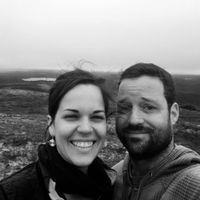 La forêt dans la cour