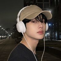 솔잎ina kuća
