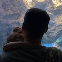 robins hus