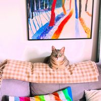 Dorothée's house