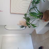 Casa di kevin