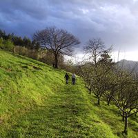 La maison de Lisardo