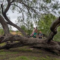 Family-friendly home in central Alamo City