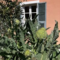 Casa di Cyra