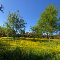 Casetta di Laura