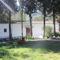 Marios hus