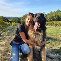Une ou deux chambres privées dans grande maison en pierre au calme absolu sur 10 hectares