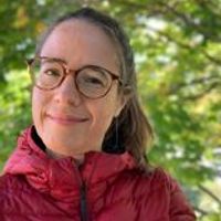 Chalet dans les arbres