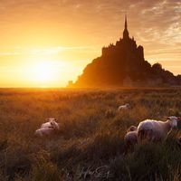 Maison dans la baie du mont saint michel