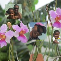 La maison de Orchifamily