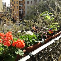 margherita's house