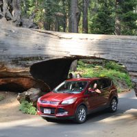L'appartement d'Hélène (disponible uniquement par périodes de 7 jours, du samedi au samedi).