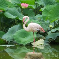 agréable maison proche forêt de Brocéliande