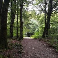 appartamento a Kildysart, Ireland