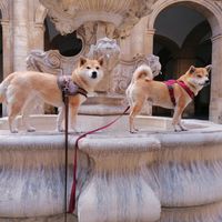 Casa di Juan Fadrique