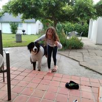 Vacances d'été validée Prêt pour échange sur Strasbourg -Colmar noel 2025 EN ÉCHANGE RÉCIPROQUE