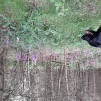 La maison de MATHILDE