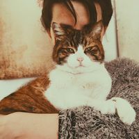 L'appartement de Charlotte