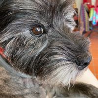 La maison de Hélène