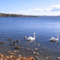 maison à Besozzo, Italia