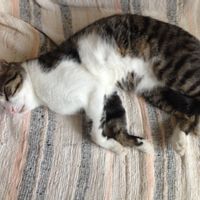 La maison de Anne-Sophie