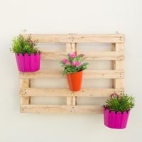 La maison de Stéphanie