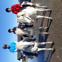 La maison de STEPHANE